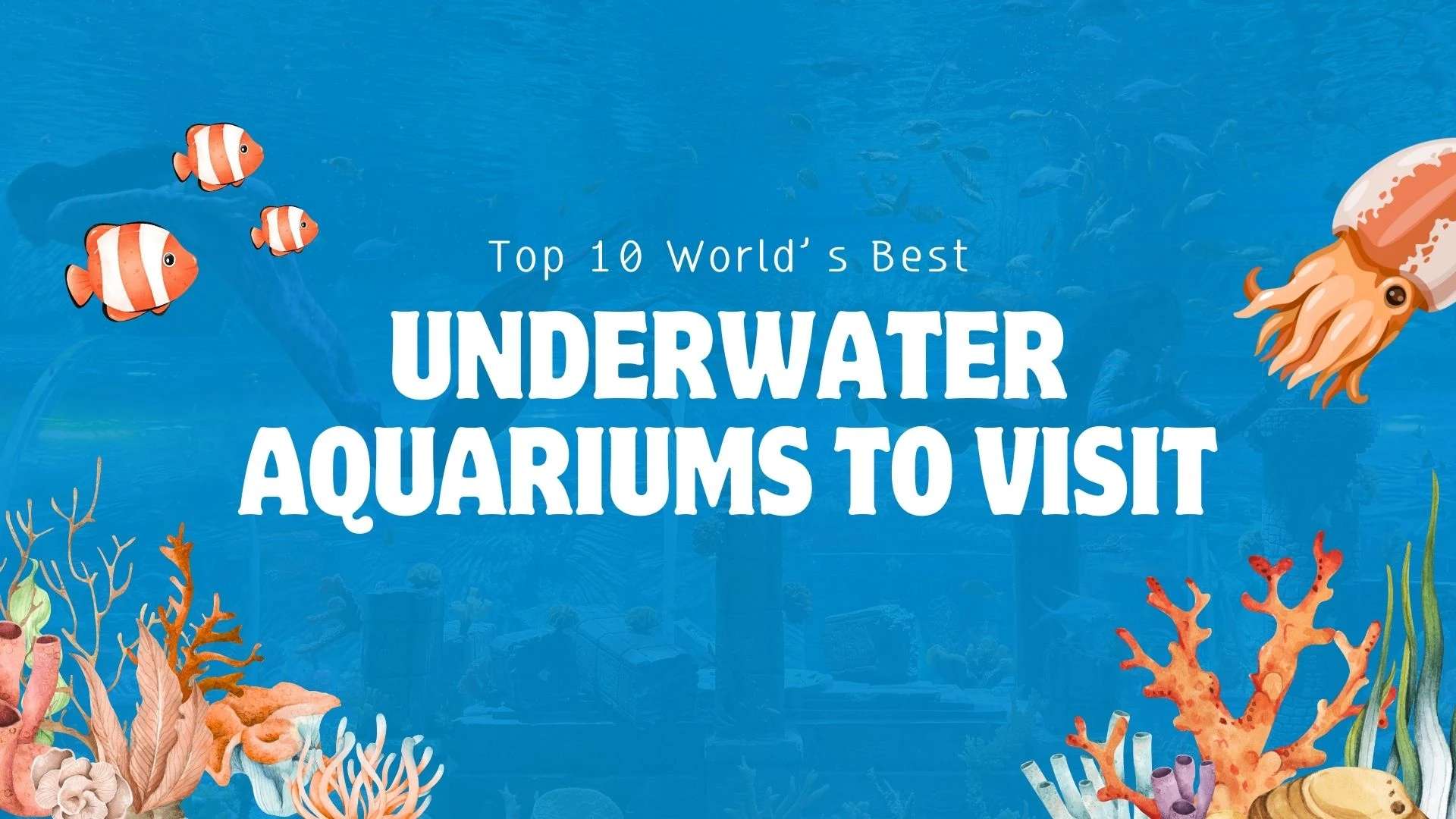 Top 10 World’s Best Underwater Aquariums to Visit in 2026